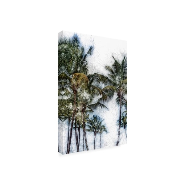 Golie Miamee 'Dorado Palms 2' Canvas Art,16x24
